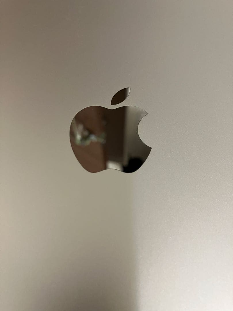使用頻度少美品Apple iPad 10.2インチ シルバー