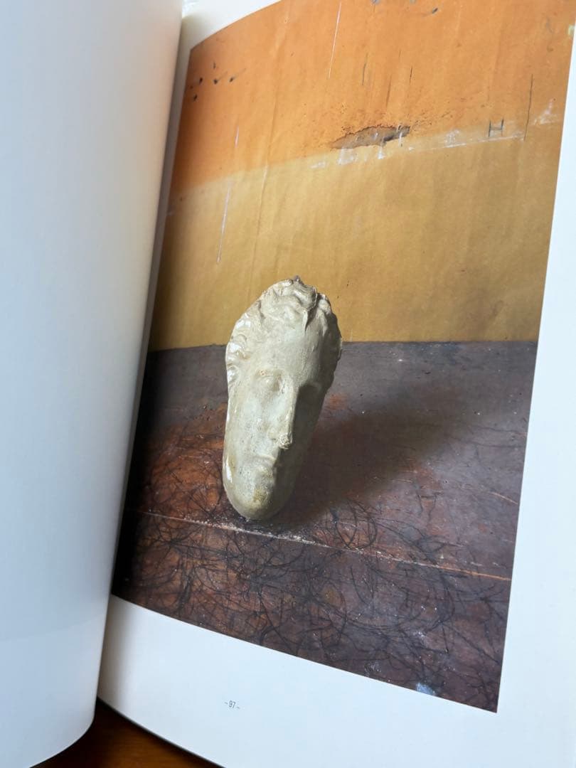 Morandi's Objects Joel Meyerowitz モランディ
