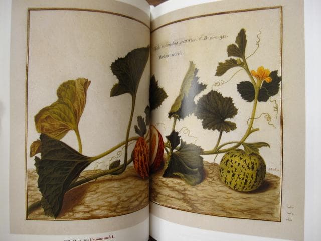 アート・デザイン・音楽 Masterpieces of Botanical Illustration