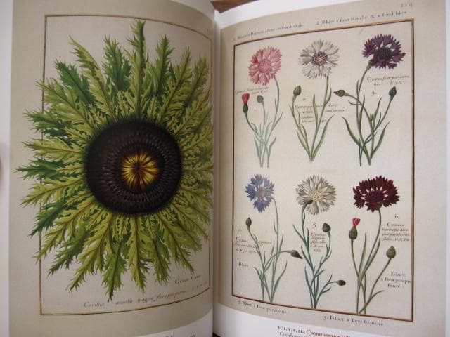 アート・デザイン・音楽 Masterpieces of Botanical Illustration