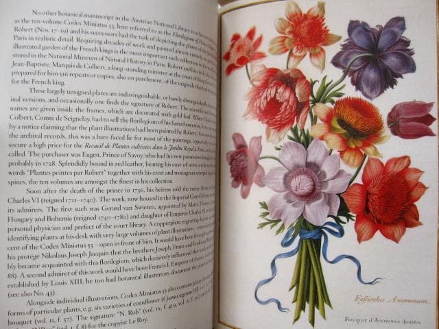 アート・デザイン・音楽 Masterpieces of Botanical Illustration