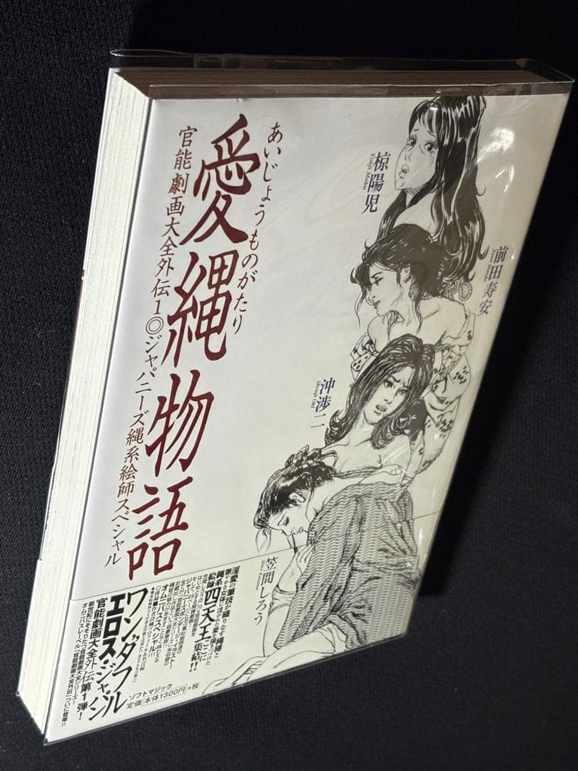 美品【絶版】官能劇画大全 昭和の浮世絵 縄係絵師四天王オムニバス作品集 愛縄物語