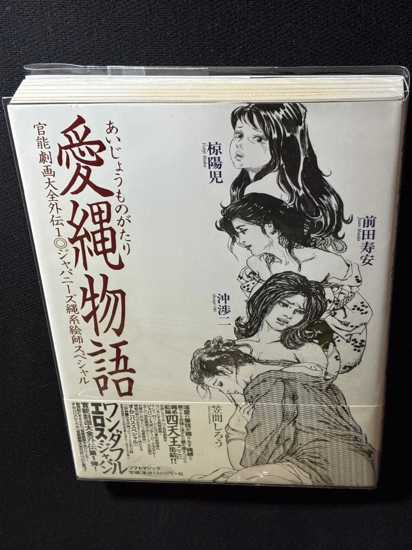 美品【絶版】官能劇画大全 昭和の浮世絵 縄係絵師四天王オムニバス作品集 愛縄物語