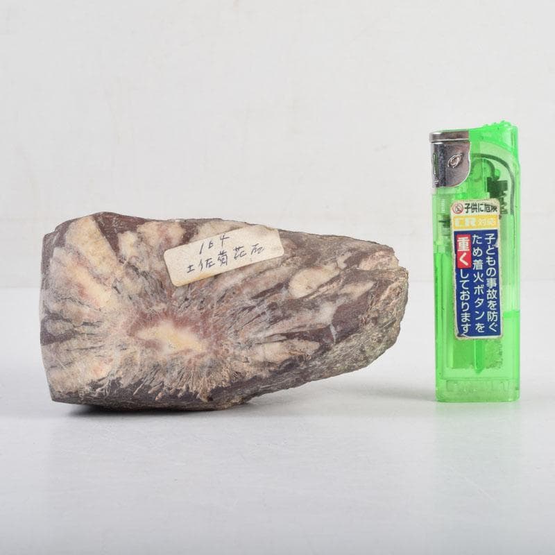 天然石　鑑賞石　菊花石　置物　重さ約505g　C　8851