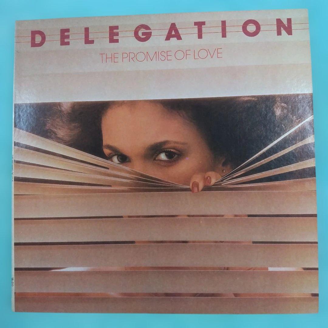 DELEGATION /THE PROMISE OF LOVE レコード