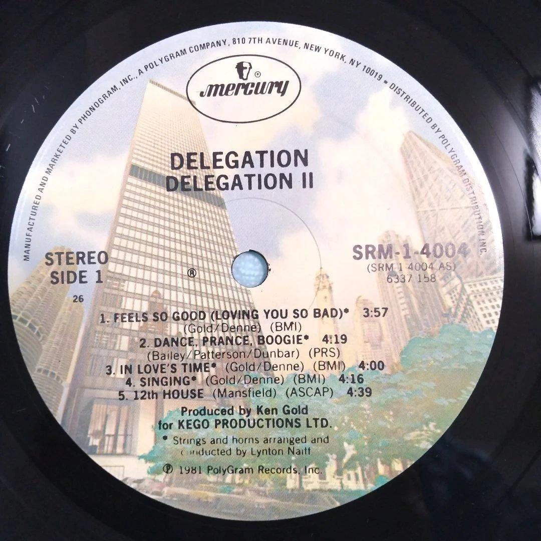 DELEGATION /THE PROMISE OF LOVE レコード