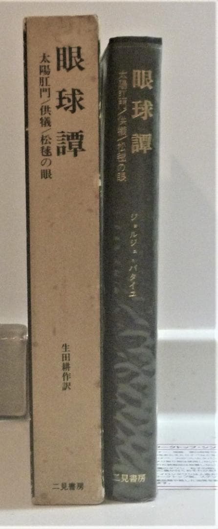 【絶版貴重書籍】眼球譚　ジョルジュ・バタイユ著作集　生田耕作訳　箱付き