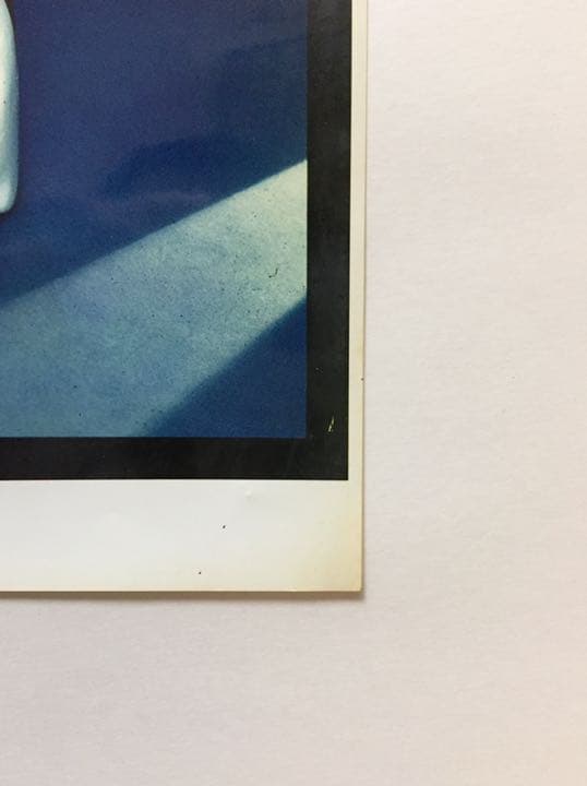 ダウンタウン　ごっつええ感じ　プロモーション写真