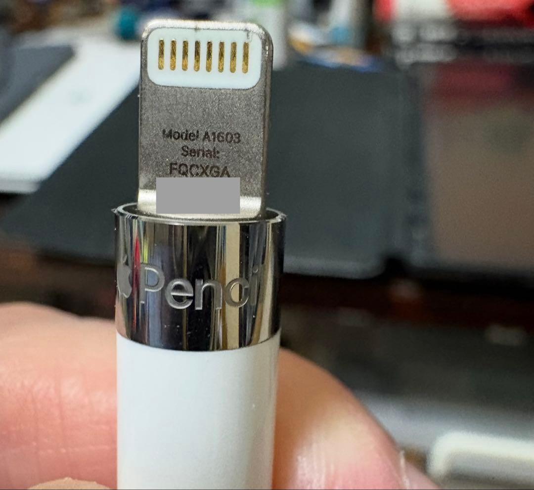 iPad Pro 12.9 第2世代 256GB Apple Pencil 付