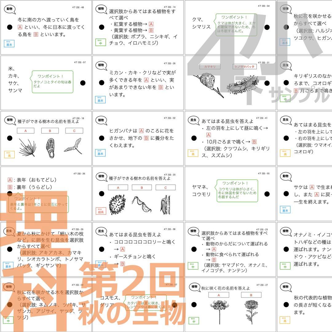 中学受験 暗記カード【4年生向け 理科上下 生物全セット】植物,動物