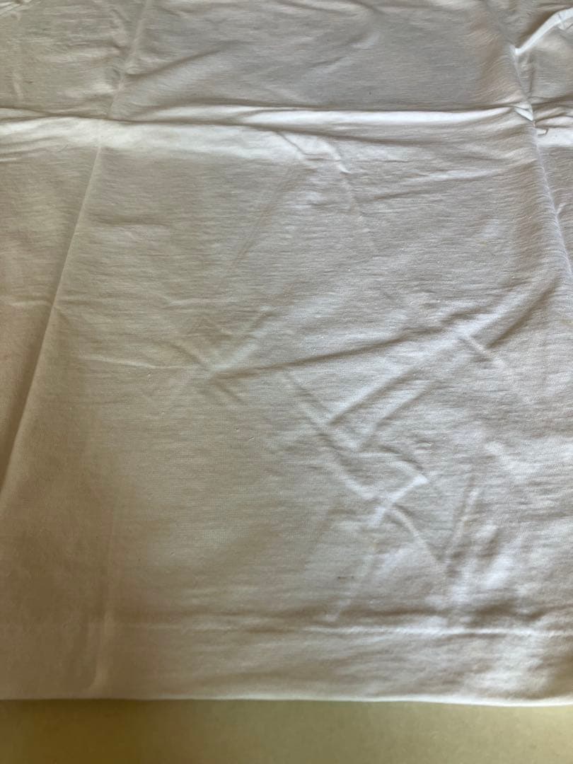 三宅一生 ISSEY MIYAKE SKYLINE コラボTシャツ　レア　希少