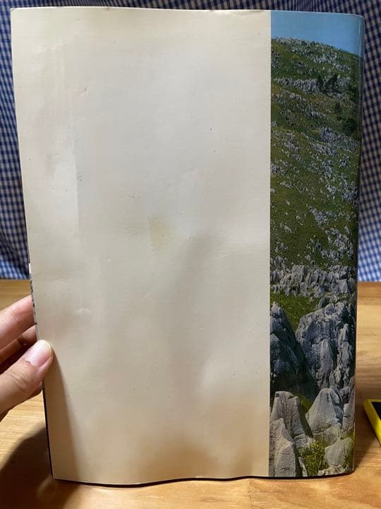 秋吉台の自然　秋吉台科学博物館