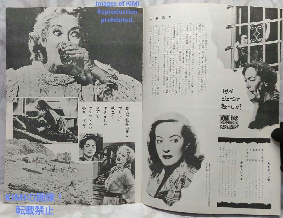 レア 映画パンフ 何がジェーンに起こったか？ What Ever H 1962年