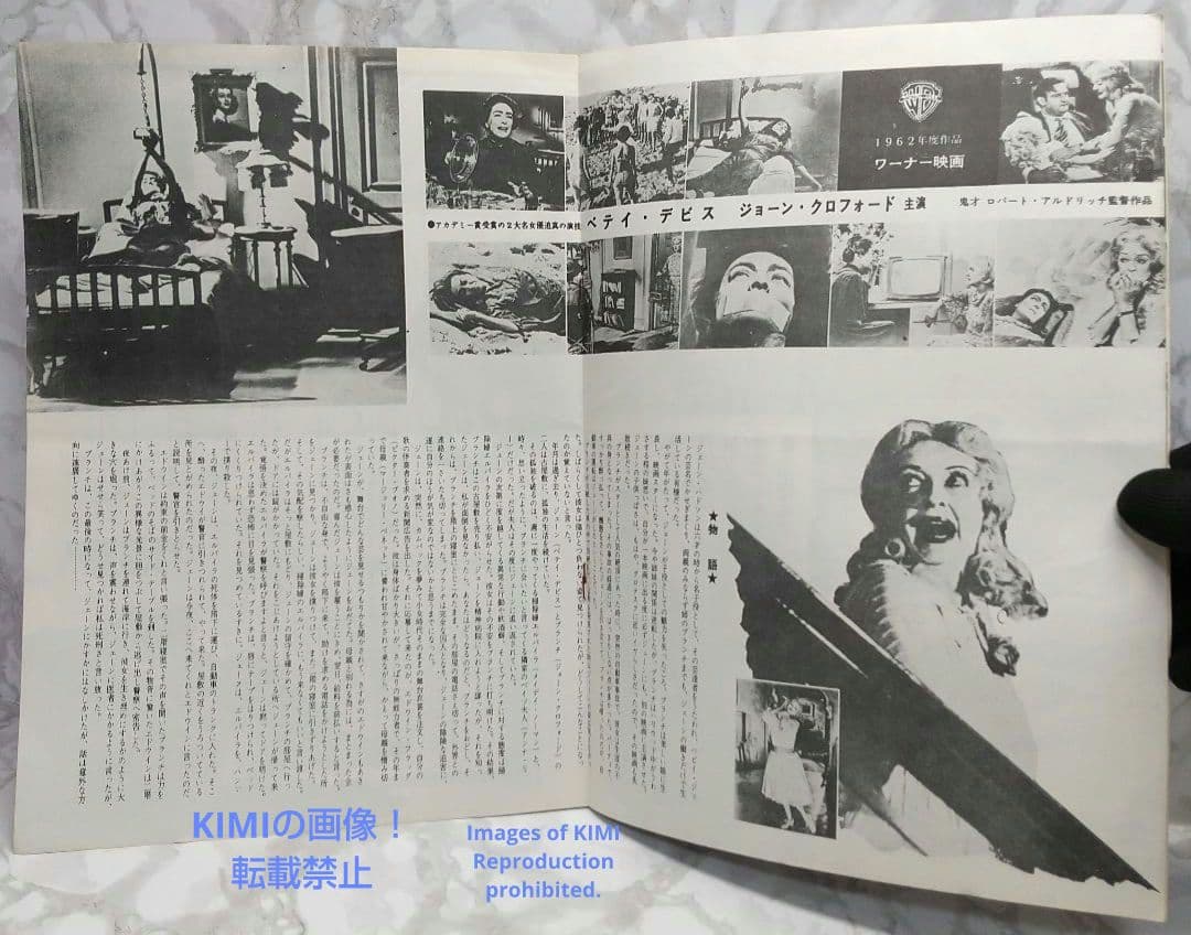 レア 映画パンフ 何がジェーンに起こったか？ What Ever H 1962年