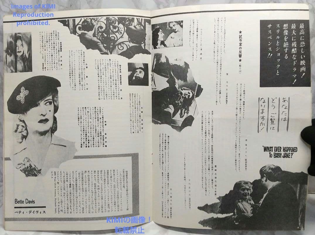 レア 映画パンフ 何がジェーンに起こったか？ What Ever H 1962年