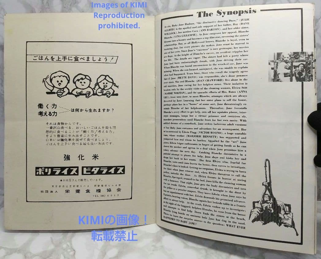 レア 映画パンフ 何がジェーンに起こったか？ What Ever H 1962年