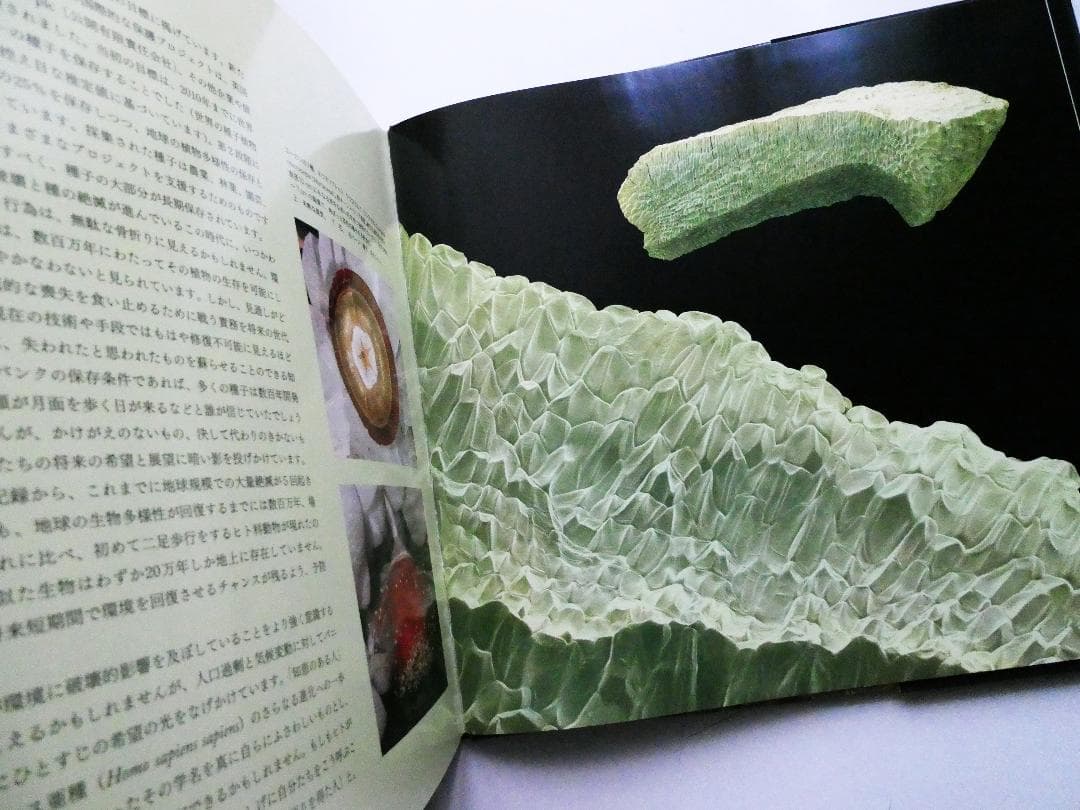 【中古】世界で一番美しい果実図鑑 武井摩利 ロブ・ケスラー キュー王立植物園公認