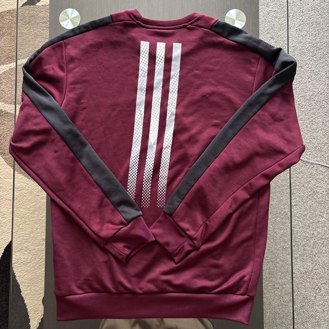 adidas×早稲田“BIG BEARS“チームロンT Oサイズ【部員限定】