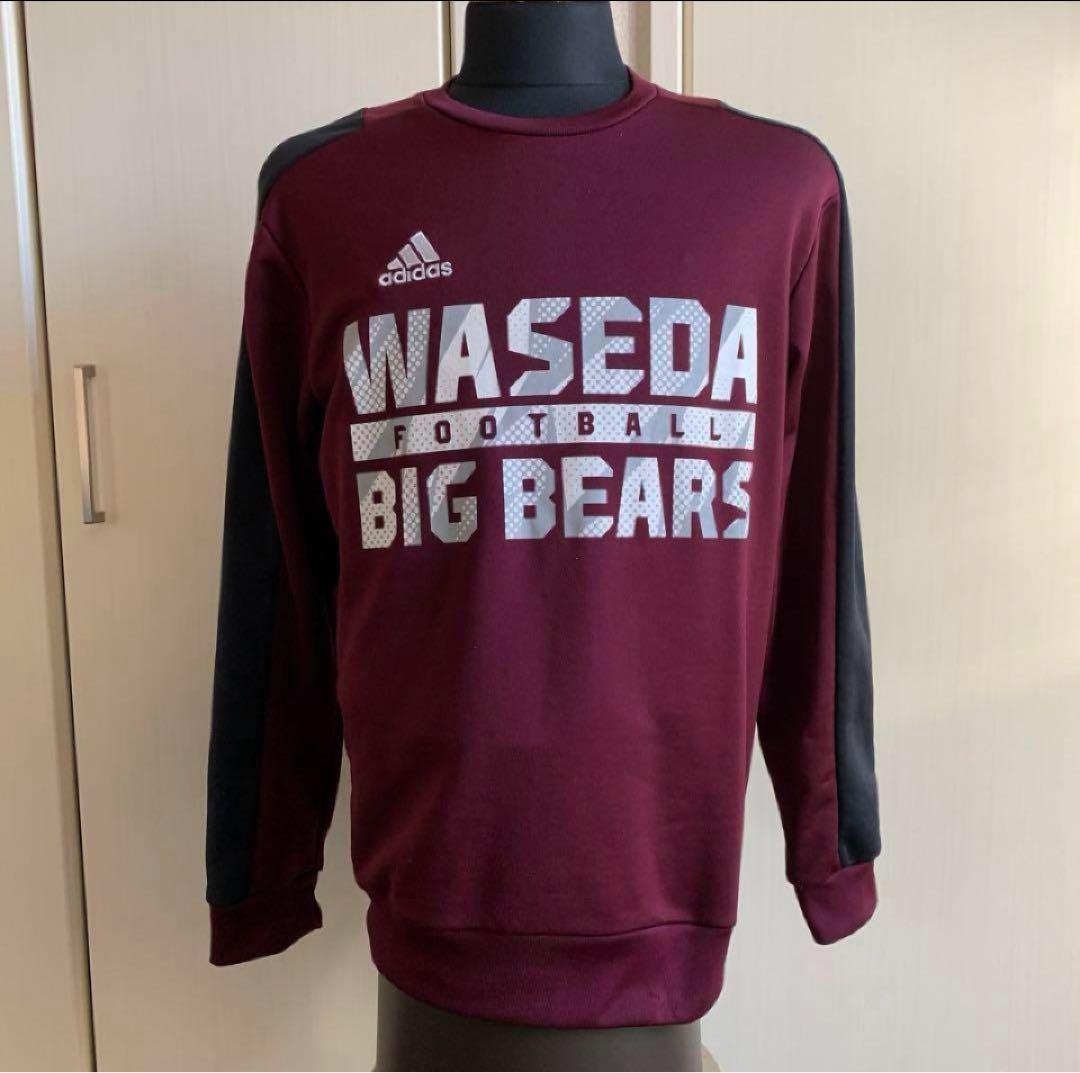 adidas×早稲田“BIG BEARS“チームロンT Oサイズ【部員限定】