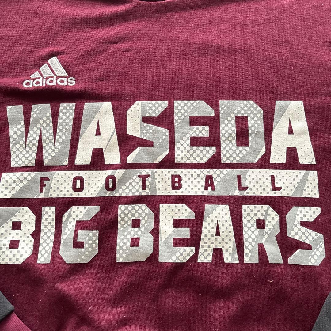 adidas×早稲田“BIG BEARS“チームロンT Oサイズ【部員限定】