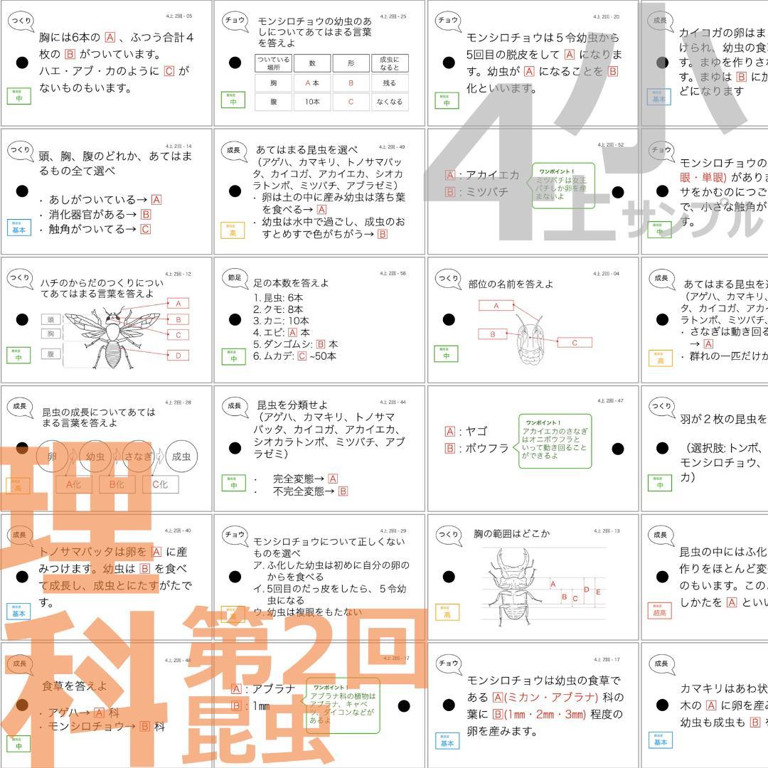中学受験 暗記カード【4年生向け 理科 上 生物セット】植物,動物