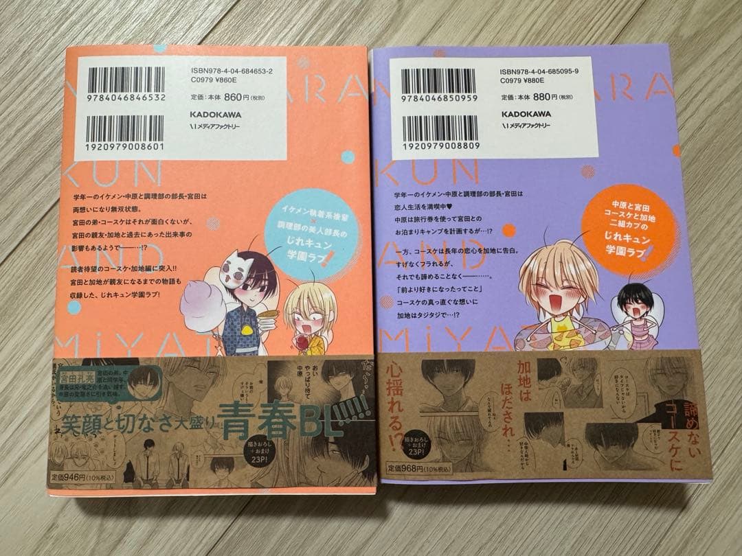 中原くんと宮田部長 1〜6巻 小冊子 リーフレット ペーパー 特典付き