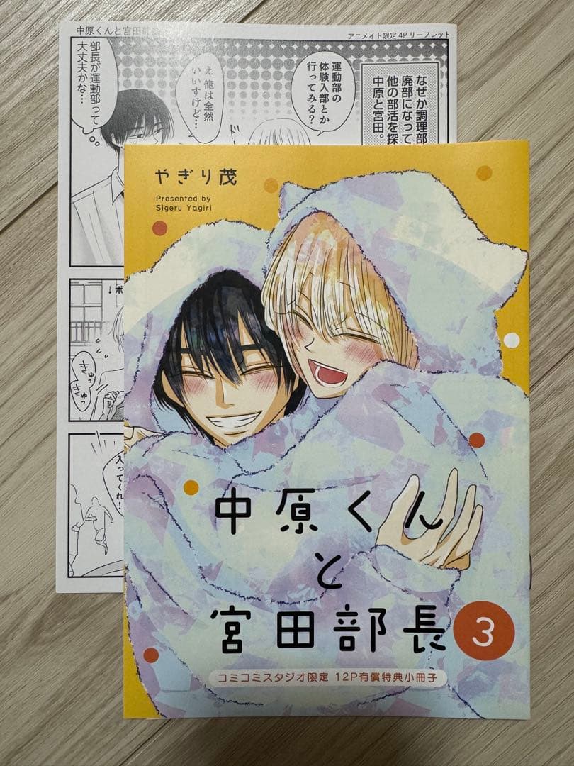 中原くんと宮田部長 1〜6巻 小冊子 リーフレット ペーパー 特典付き