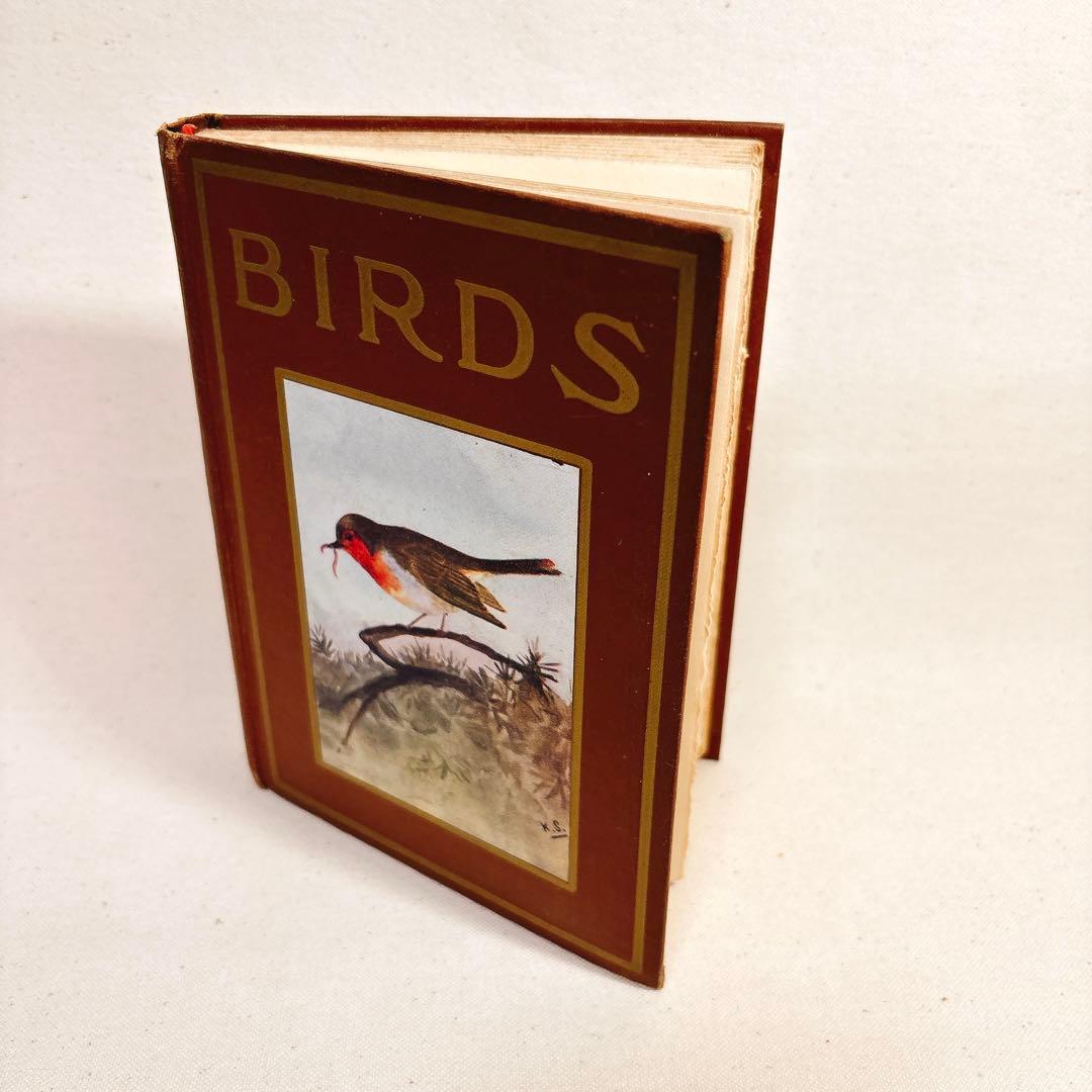 海外 ヴィンテージ洋書 BIRDS 鳥の図鑑 イギリス