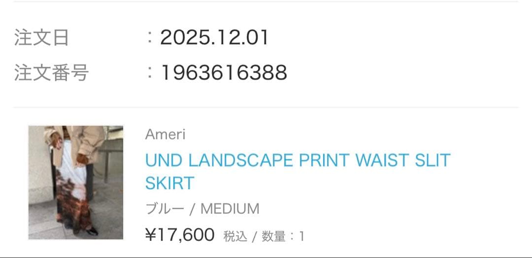 Ameri UND LANDSCAPE PRINT SKIRT（ブルー）