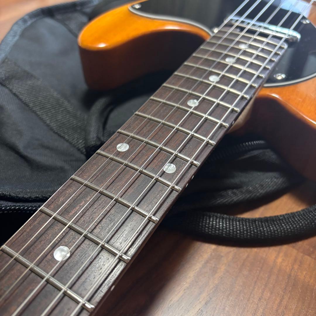 美品 SCHECTER OL-PT-TH 限定生産 シンライン 即購入可