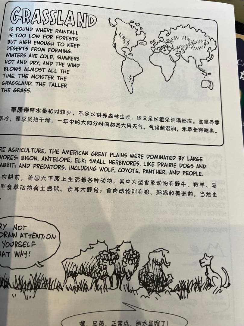 英語絵本　the cartoon guide to シリーズ4冊
