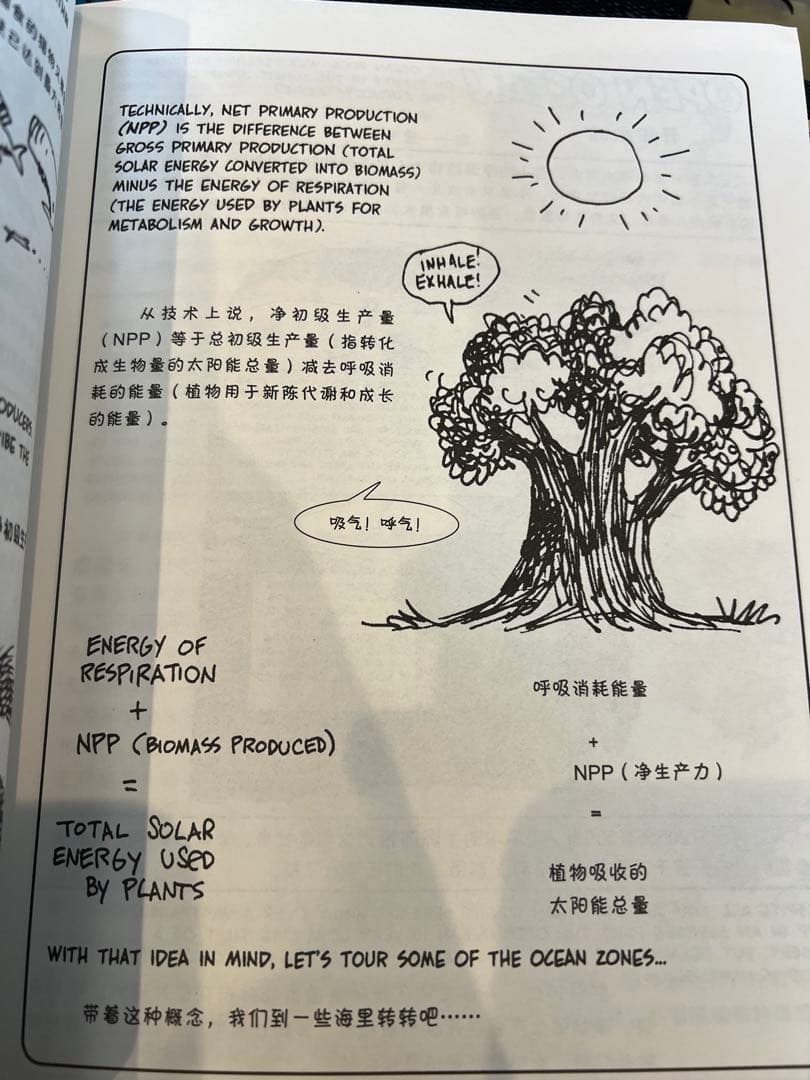 英語絵本　the cartoon guide to シリーズ4冊