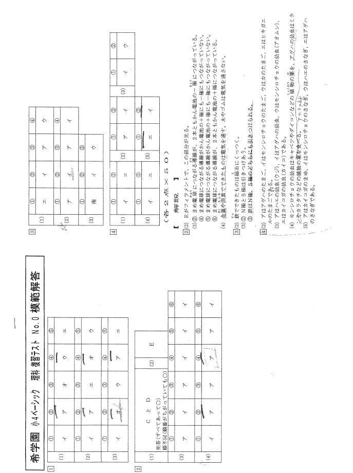 復習テストの問題と解答1年分になります
