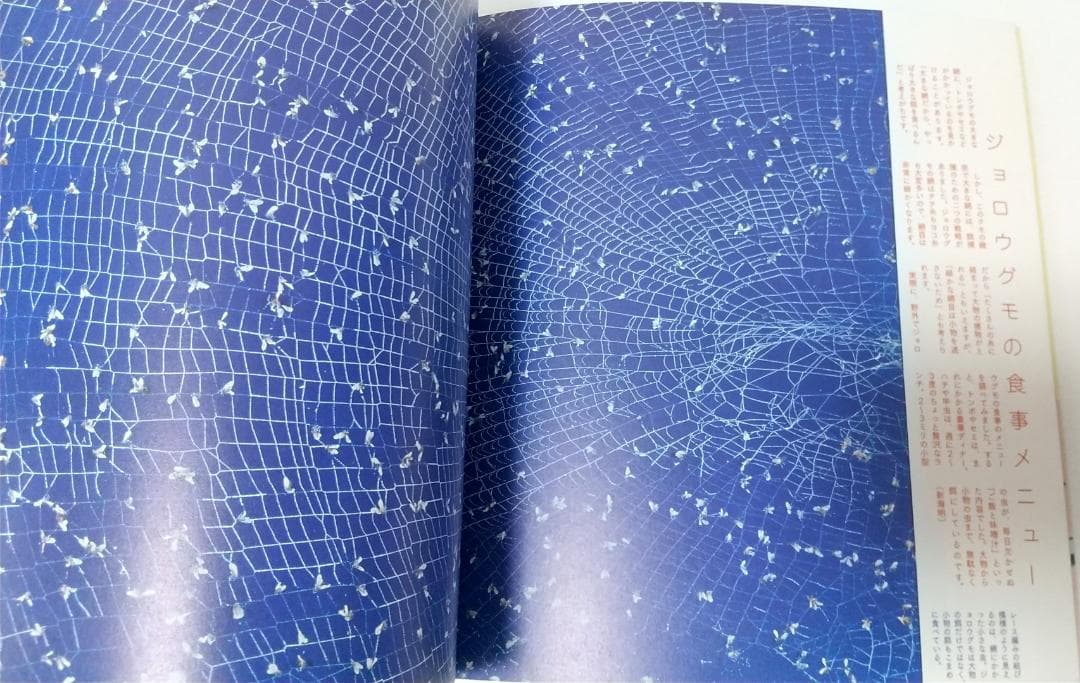 【INA BOOKLET】 アート・デザイン関連書籍 24冊セット