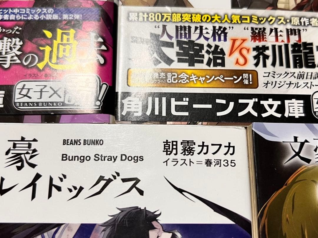 文豪ストレイドッグス1-22巻　外伝　小説他　28冊セット