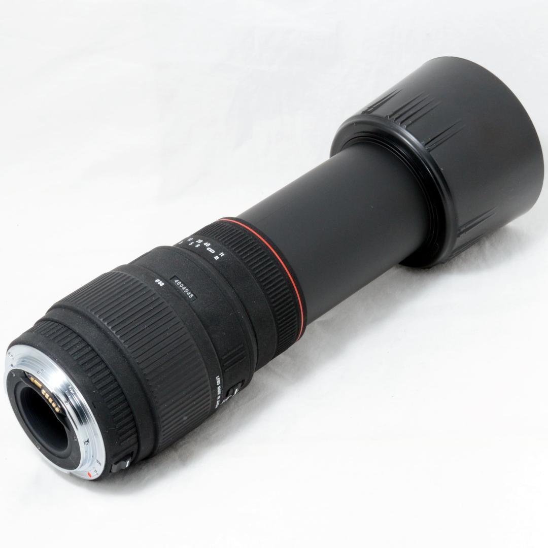 ⭐️実用品⭐️SIGMA 70-300mm APO DG MACRO キヤノン用