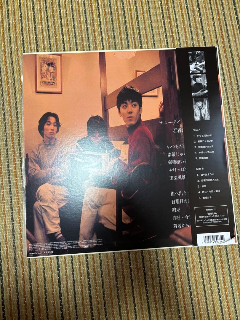 サニーデイ・サービス 若者たち LPレコード