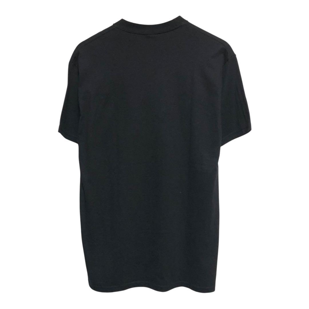00s オールドステューシー×LAURA 半袖Tシャツ　フォトT デッドストック
