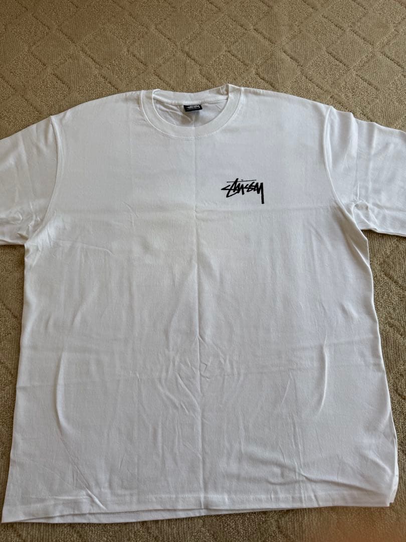 Stussy Tシャツ
