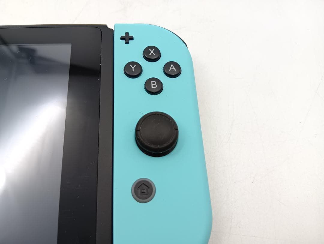 ニンテンドースイッチ あつまれどうぶつの森セット ダウンロード版 動作品