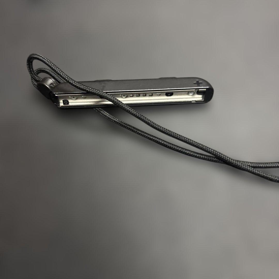 ネ*コ様 Nintendo Switch ジャンク品
