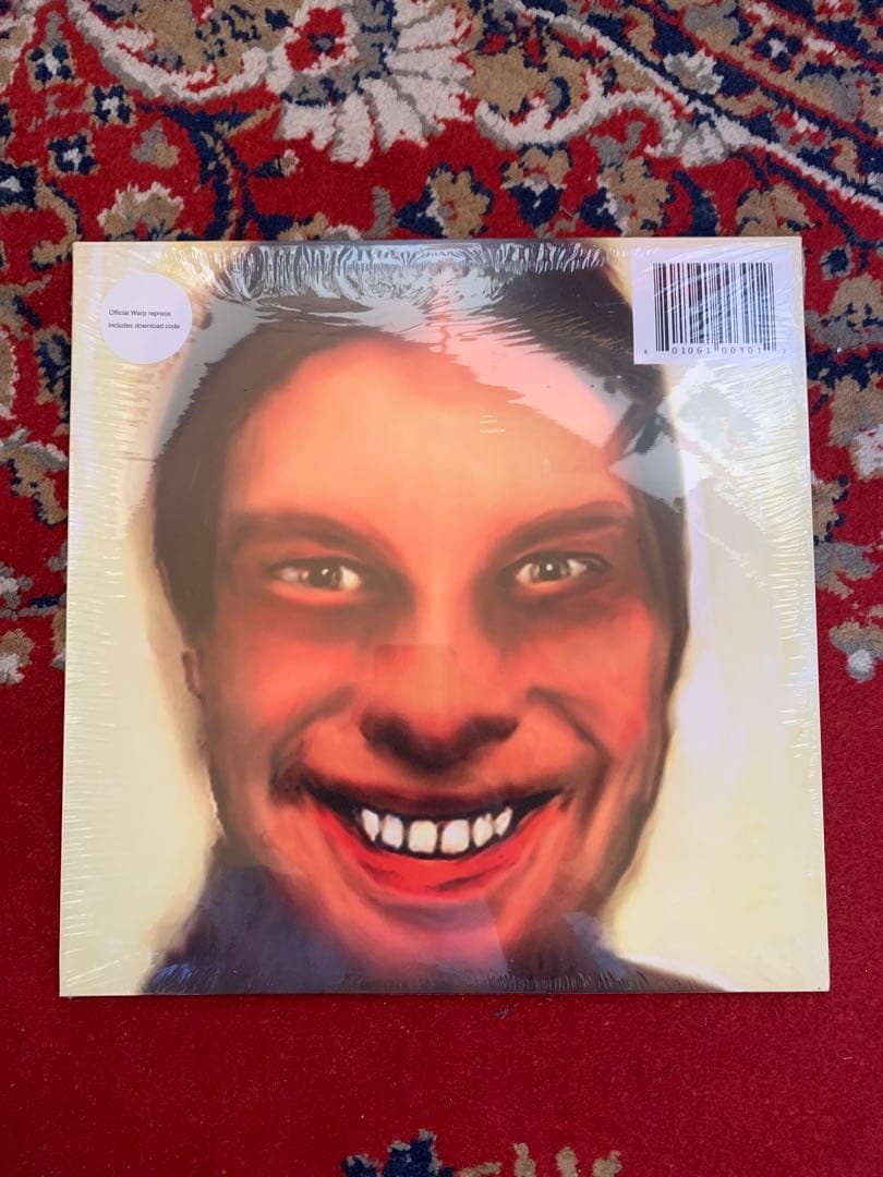 NIRVANA、rhcp、aphex twin レコードまとめ売り