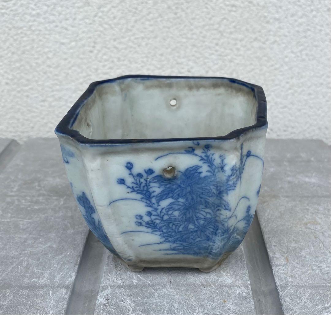 希少 瀬戸焼 染付け 菱形 骨董 盆栽鉢 盆栽 植木鉢