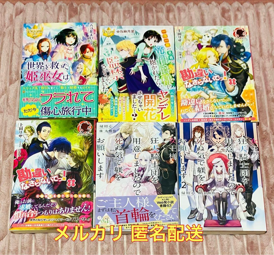 悪役令嬢 異世界 転生 トリップ TL 小説 まとめ売り セット