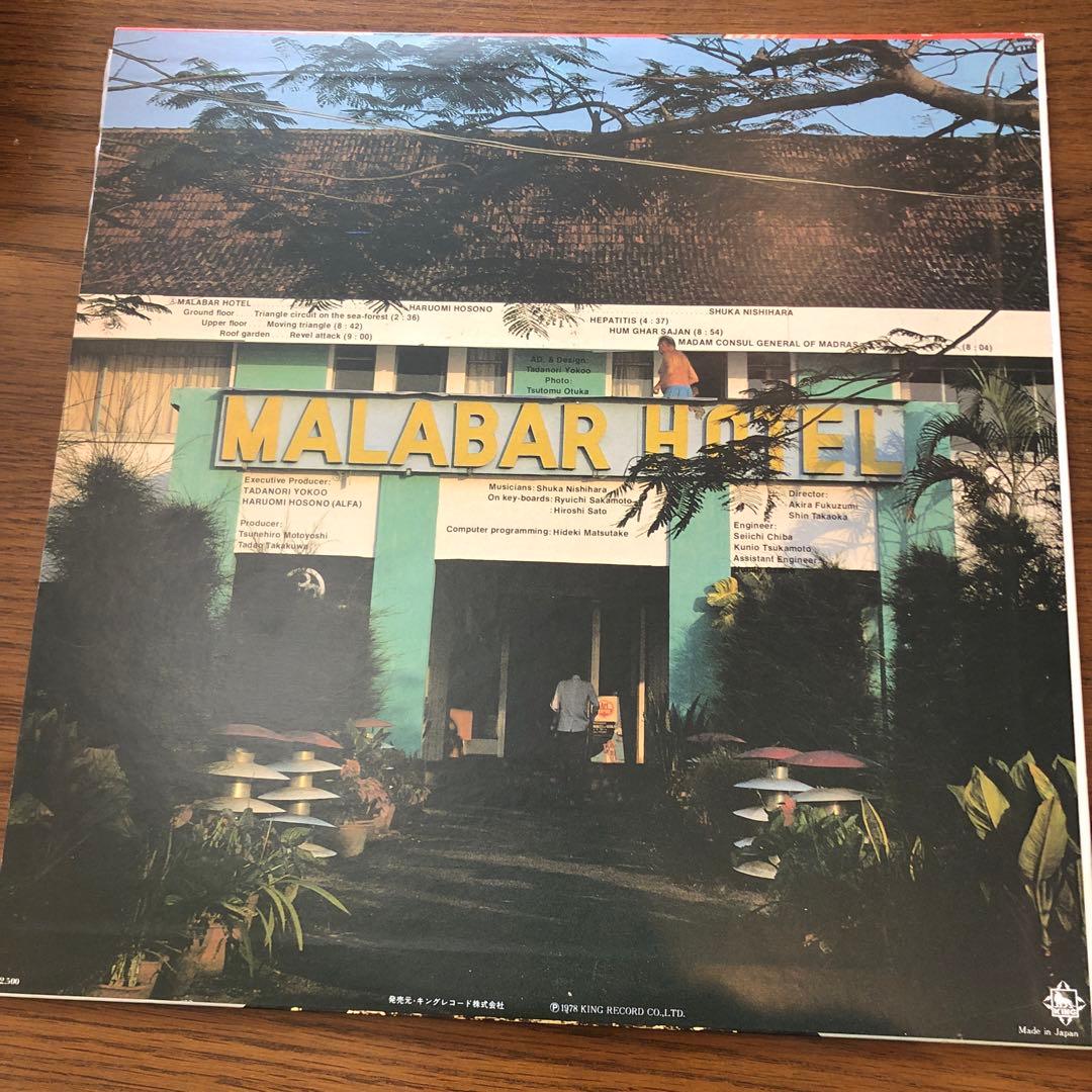 Cochin Moon レコード　細野晴臣