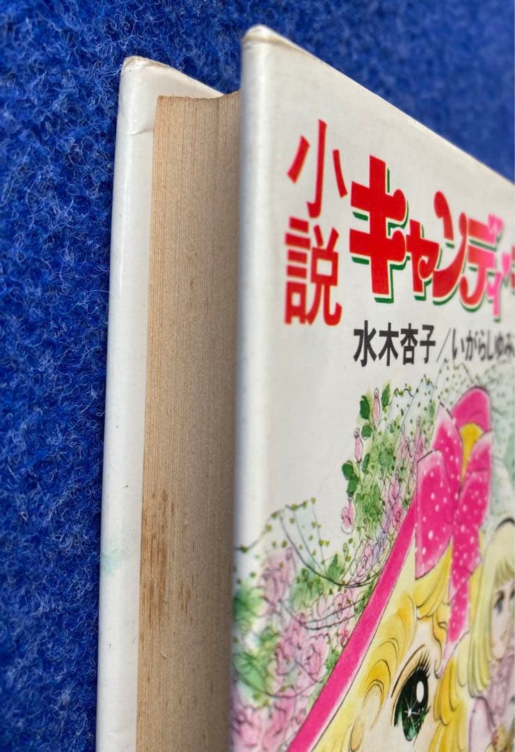 小説キャンディキャンディ①