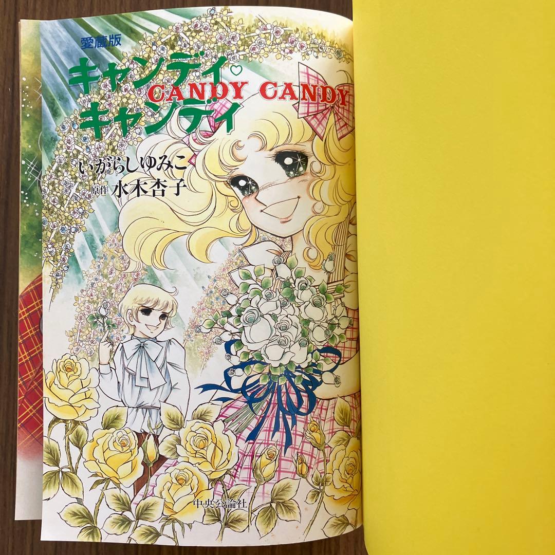 昭和レトロ　キャンディキャンディ全2巻　いがらしゆみこ　原作水木杏子