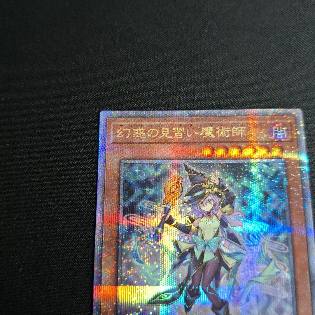 遊戯王 幻惑の見習い魔術師 25thシク