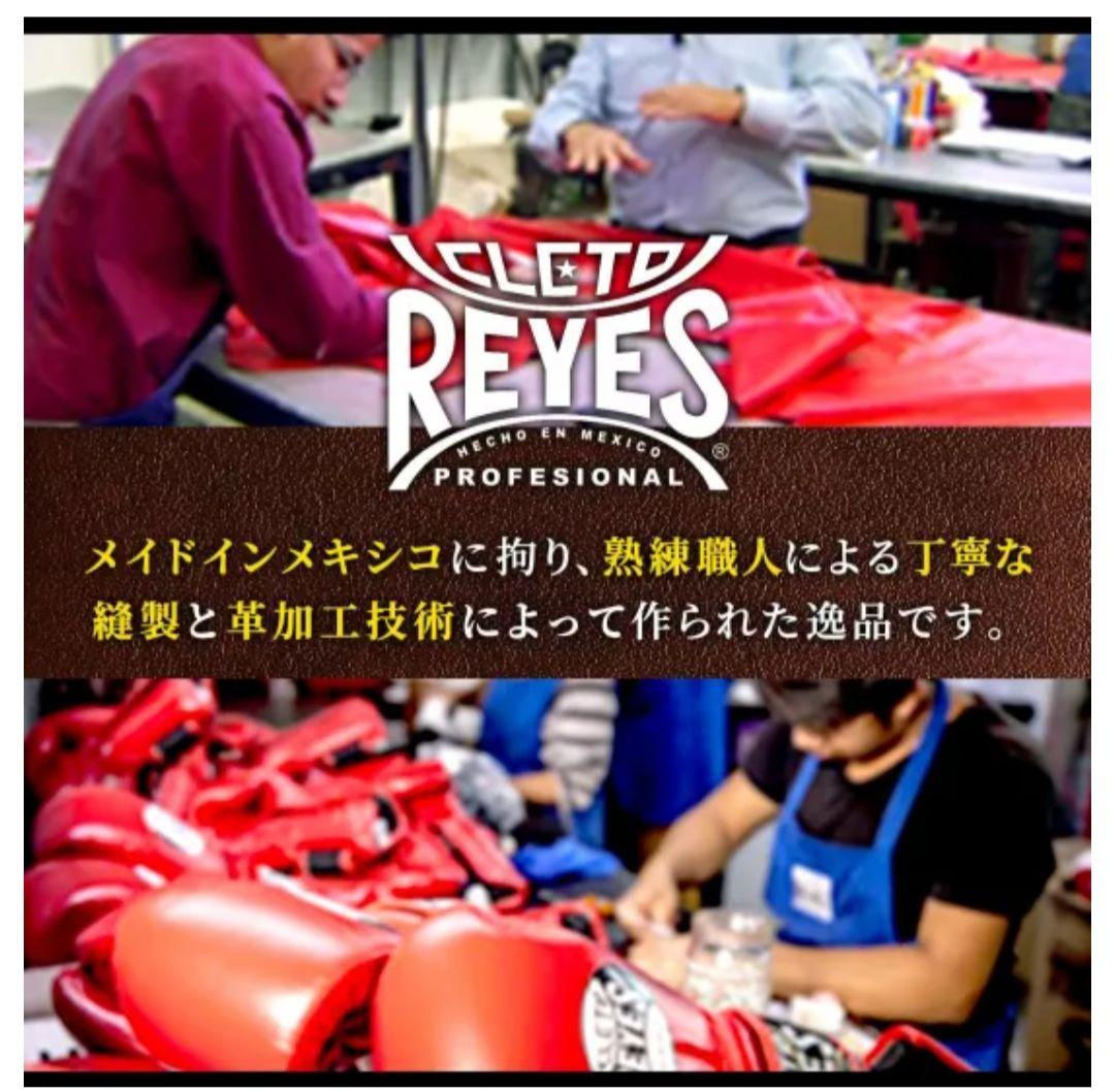 【美品】レイジェス バッグ打ち用グローブ【ゴム式 L/E352