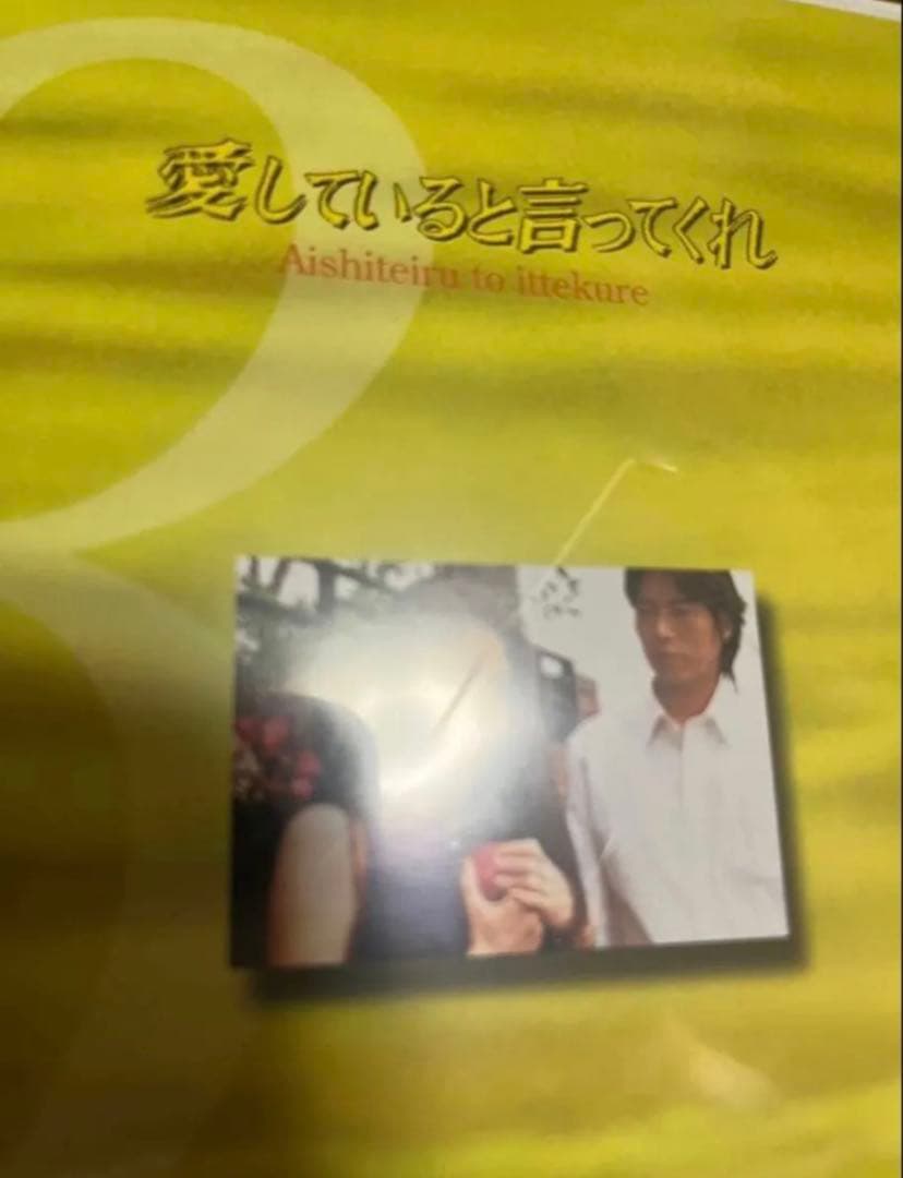 愛していると言ってくれ　DVD　TVドラマ　豊川悦司　常盤貴子　名作　純愛